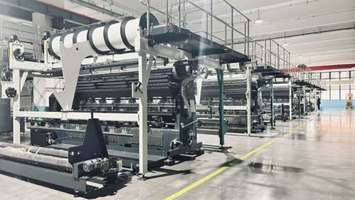 資陽安岳 先進(jìn)設(shè)備強(qiáng)勢(shì)賦能 鞋服產(chǎn)業(yè)鏈再延伸